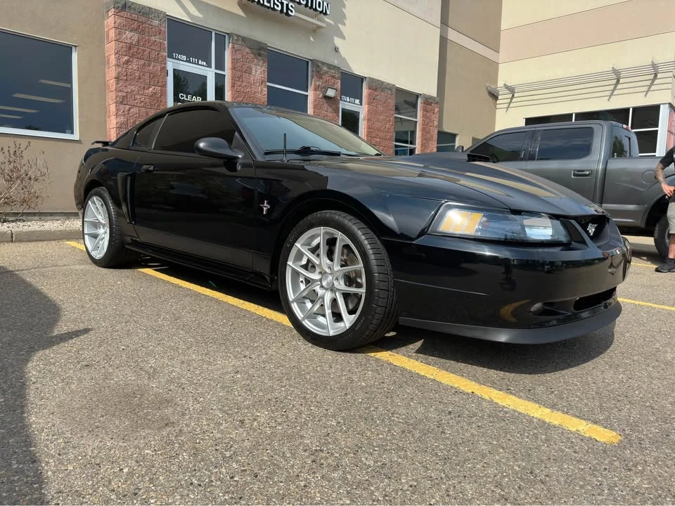 2003 Ford SN95 Mustang - Image 6 of 14