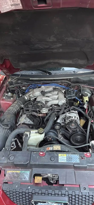 2003 Ford SN95 Mustang - Image 9 of 12