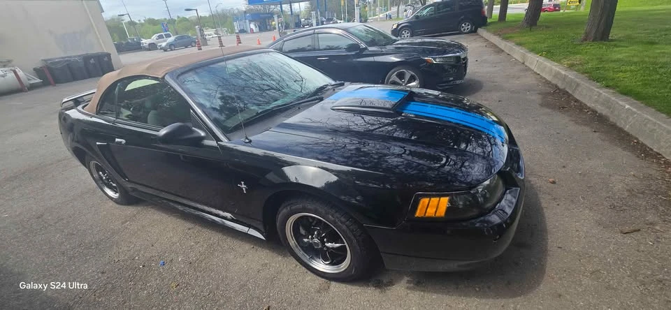 2003 Ford SN95 Mustang - Image 3 of 9