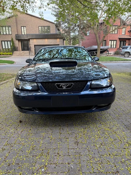 2003 Ford SN95 Mustang - Image 2 of 20