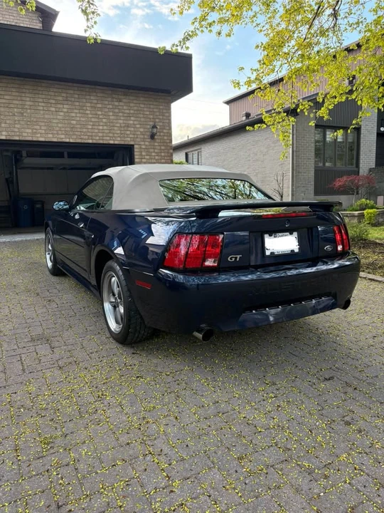 2003 Ford SN95 Mustang - Image 7 of 20