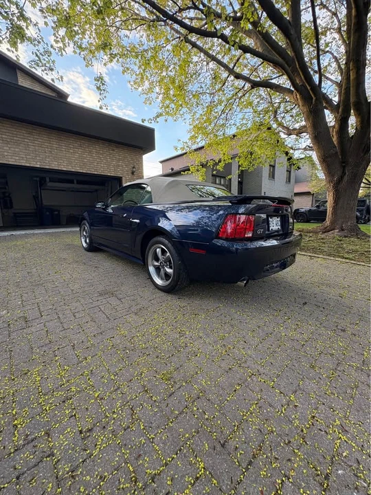 2003 Ford SN95 Mustang - Image 6 of 20