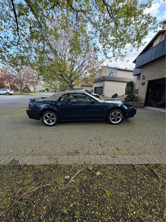 2003 Ford SN95 Mustang - Image 10 of 20