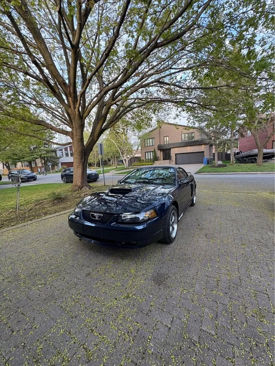 2003 Ford SN95 Mustang - Image 4 of 20