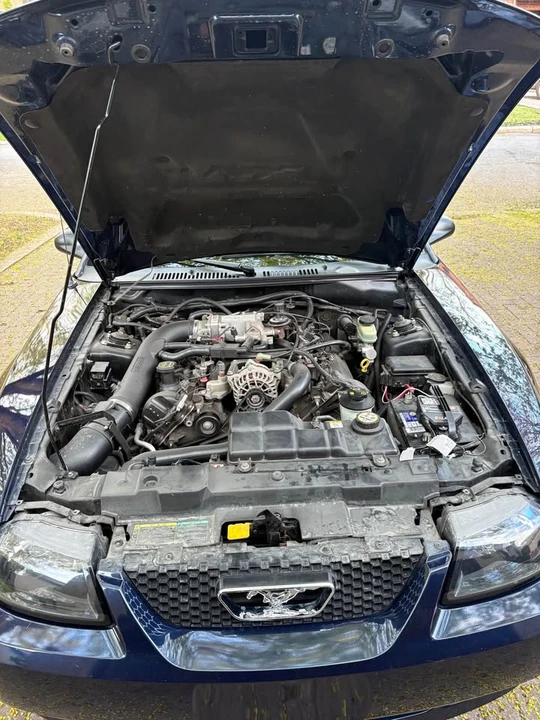 2003 Ford SN95 Mustang - Image 12 of 20