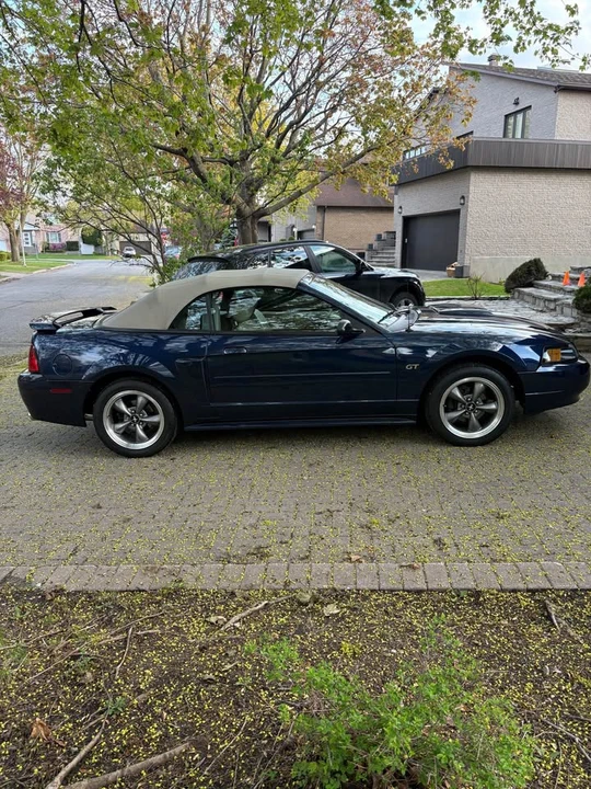 2003 Ford SN95 Mustang - Image 11 of 20