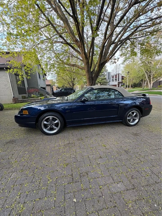 2003 Ford SN95 Mustang - Image 5 of 20