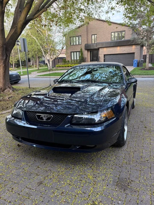 2003 Ford SN95 Mustang - Image 3 of 20