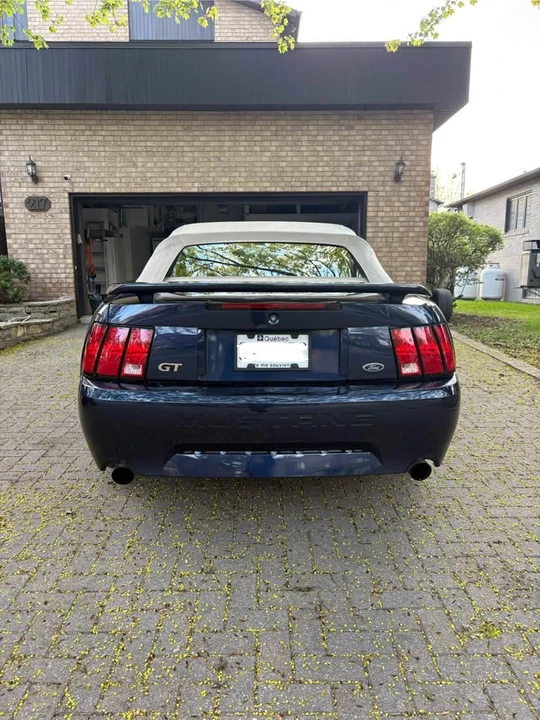 2003 Ford SN95 Mustang - Image 8 of 20