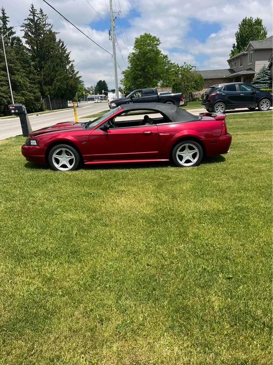 2003 Ford SN95 Mustang - Image 2 of 7