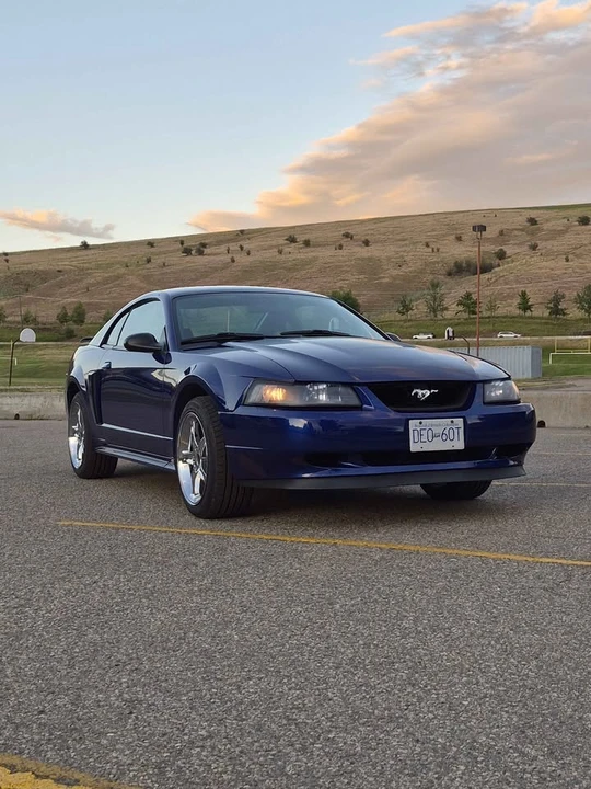 2003 Ford SN95 Mustang - Image 11 of 12
