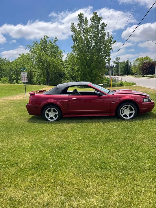 2003 Ford SN95 Mustang - Image 3 of 7