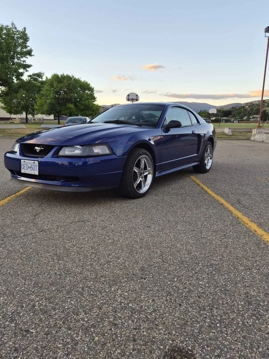 2003 Ford SN95 Mustang - Image 5 of 12