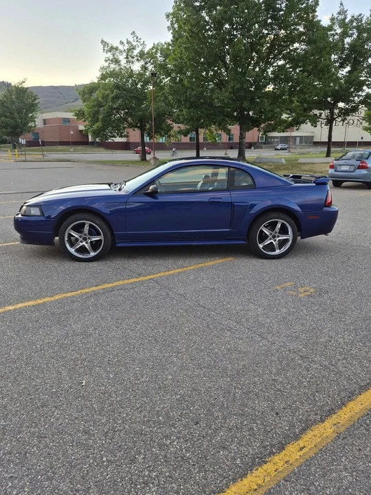 2003 Ford SN95 Mustang - Image 6 of 12