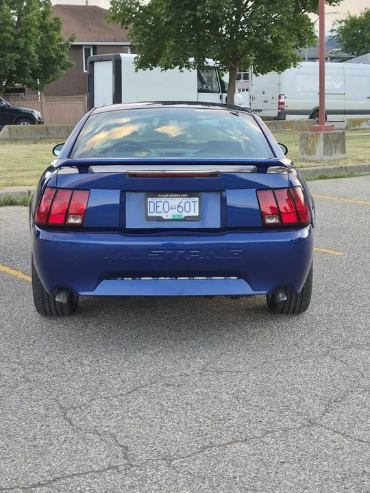 2003 Ford SN95 Mustang - Image 8 of 12