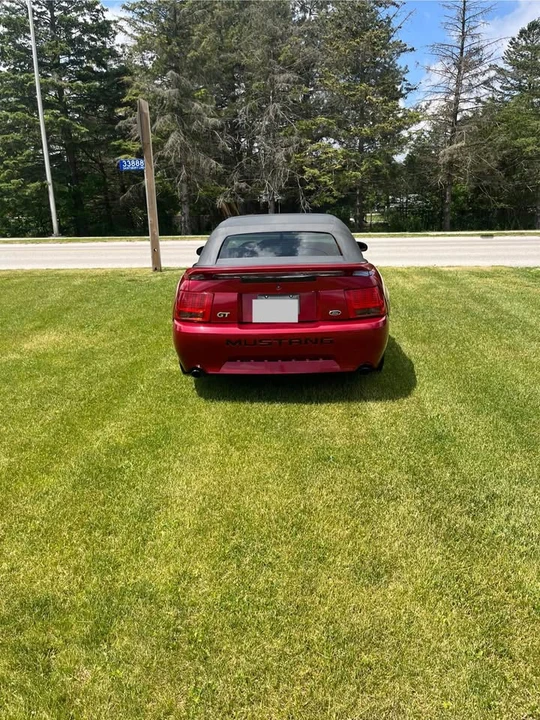2003 Ford SN95 Mustang - Image 4 of 7
