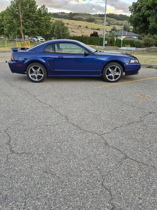 2003 Ford SN95 Mustang - Image 3 of 12