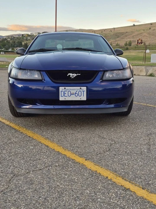2003 Ford SN95 Mustang - Image 4 of 12