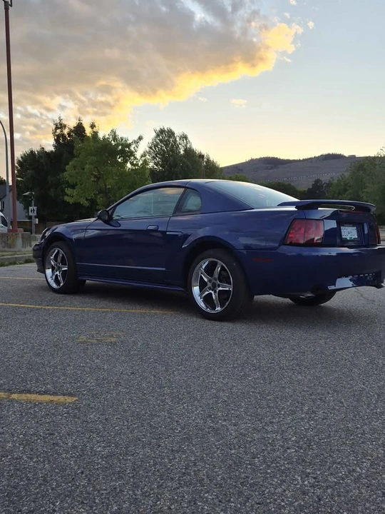 2003 Ford SN95 Mustang - Image 7 of 12
