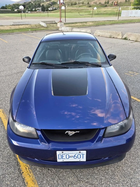 2003 Ford SN95 Mustang - Image 2 of 12
