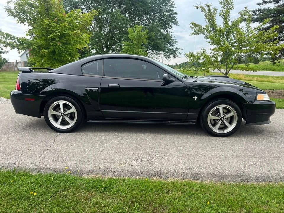 2003 Ford SN95 Mustang - Image 2 of 11