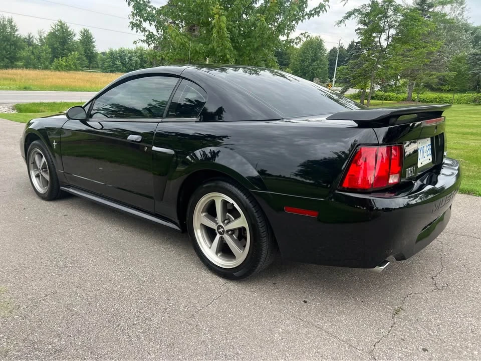 2003 Ford SN95 Mustang - Image 5 of 11