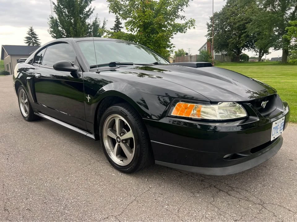 2003 Ford SN95 Mustang - Image 4 of 11
