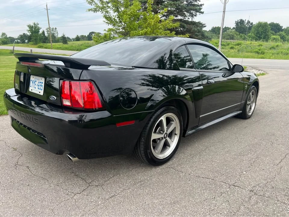 2003 Ford SN95 Mustang - Image 3 of 11