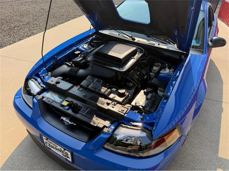 2003 Ford SN95 Mustang - Image 16 of 31