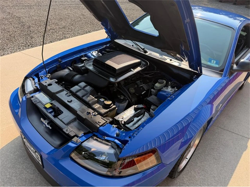2003 Ford SN95 Mustang - Image 13 of 31