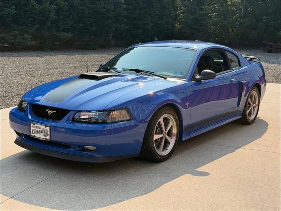 2003 Ford SN95 Mustang - Image 3 of 31