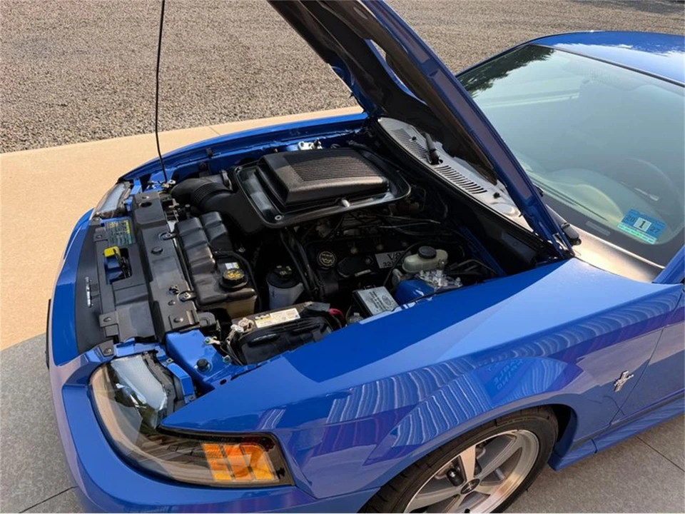 2003 Ford SN95 Mustang - Image 15 of 31