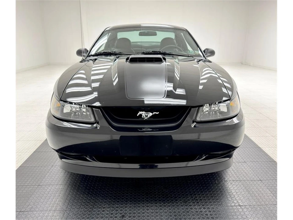 2003 Ford SN95 Mustang - Image 8 of 31