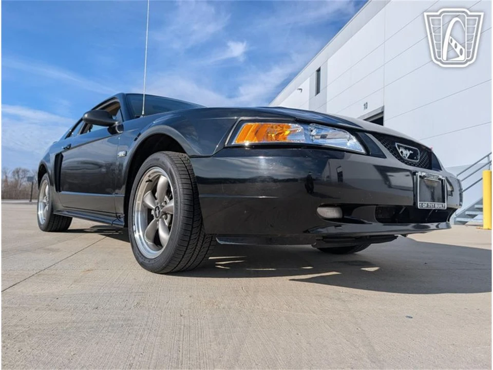 2003 Ford SN95 Mustang - Image 22 of 31