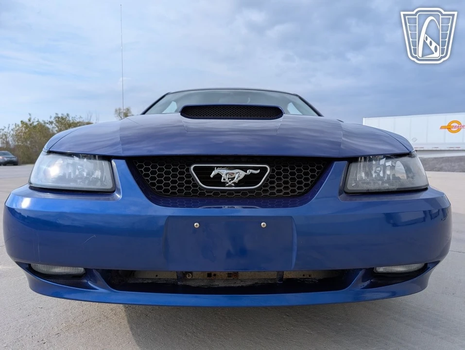 2003 Ford SN95 Mustang - Image 24 of 31