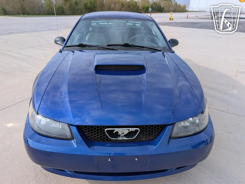 2003 Ford SN95 Mustang - Image 23 of 31