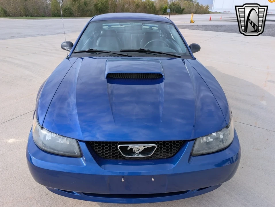 2003 Ford SN95 Mustang - Image 11 of 12