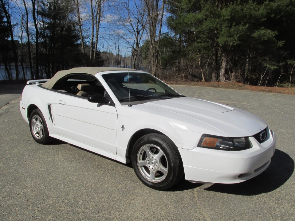2003 Ford SN95 Mustang - Image 2 of 21