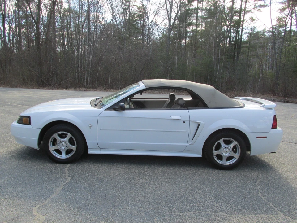 2003 Ford SN95 Mustang - Image 7 of 21