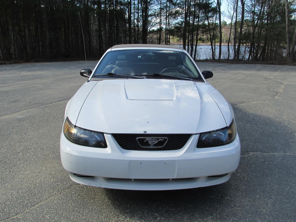 2003 Ford SN95 Mustang - Image 9 of 21