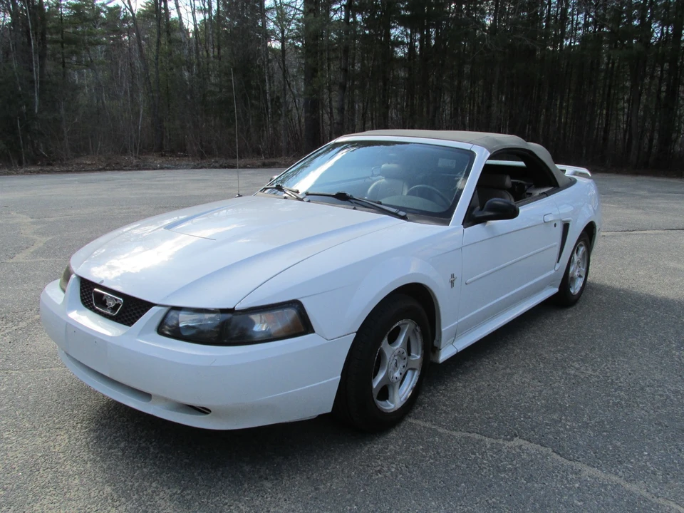 2003 Ford SN95 Mustang - Image 8 of 21
