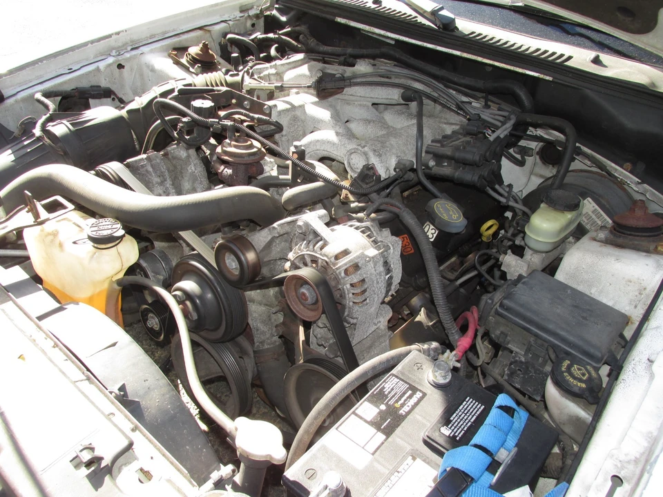 2003 Ford SN95 Mustang - Image 20 of 21