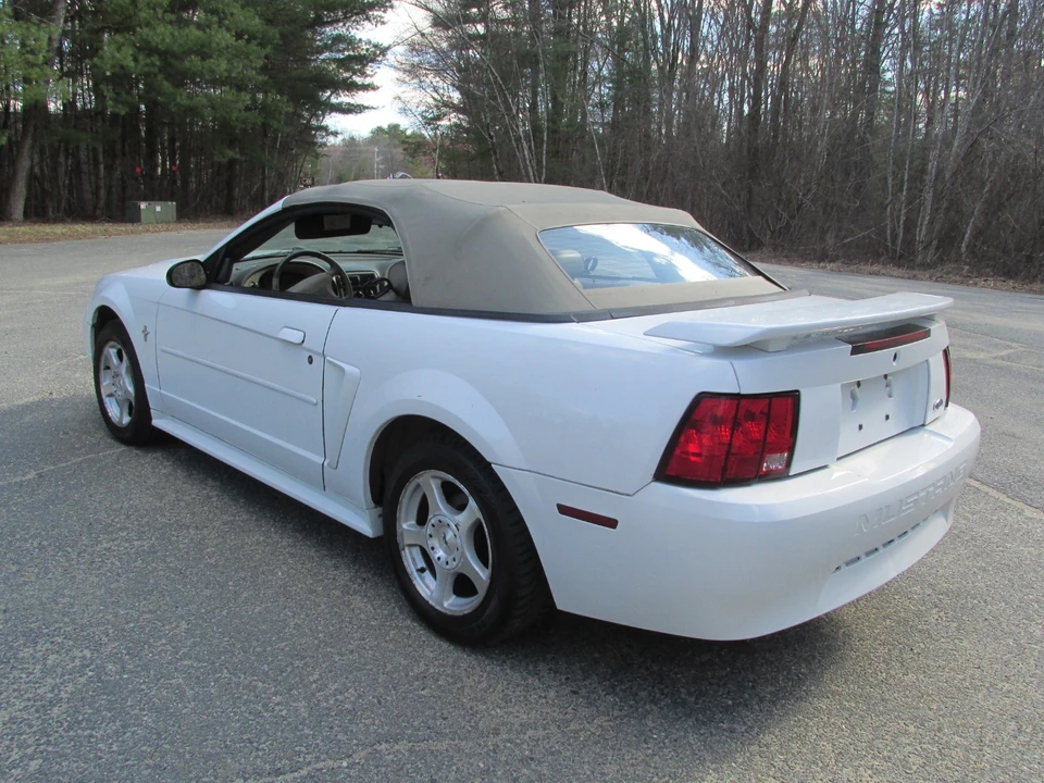 2003 Ford SN95 Mustang - Image 6 of 21