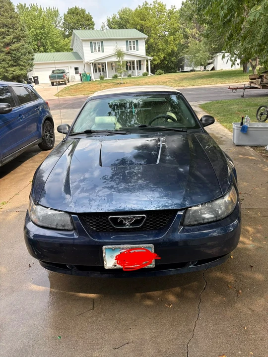 2003 Ford SN95 Mustang - Image 8 of 8