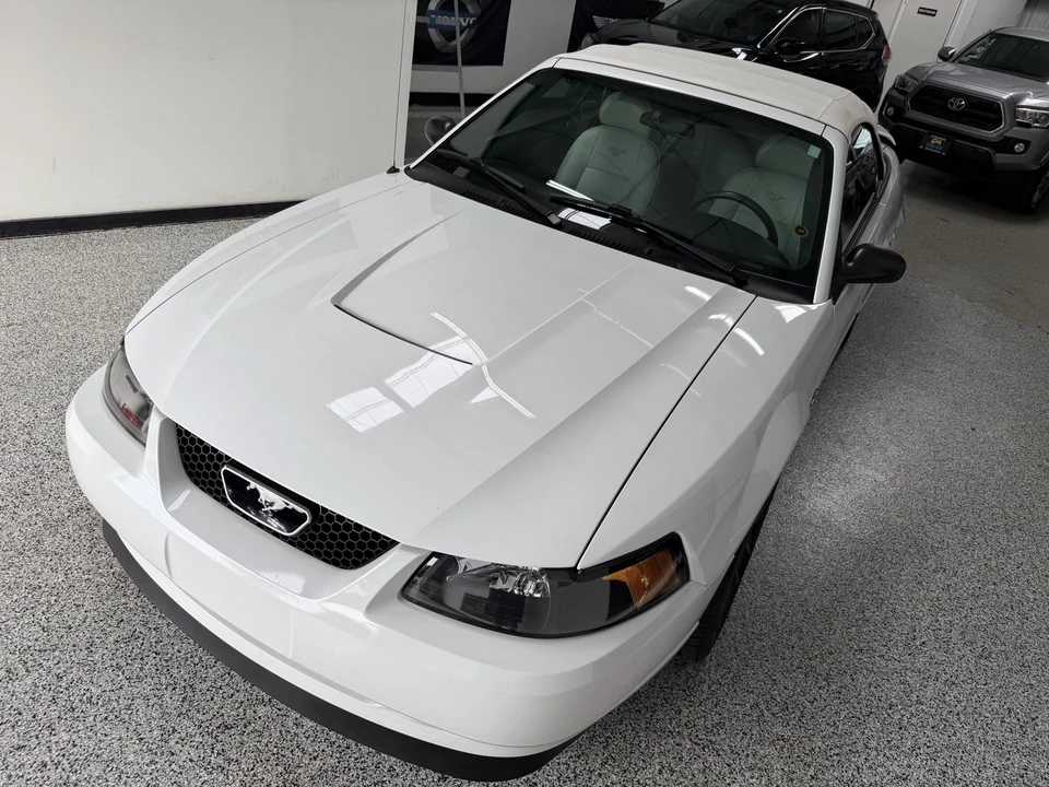 2003 Ford SN95 Mustang - Image 20 of 21