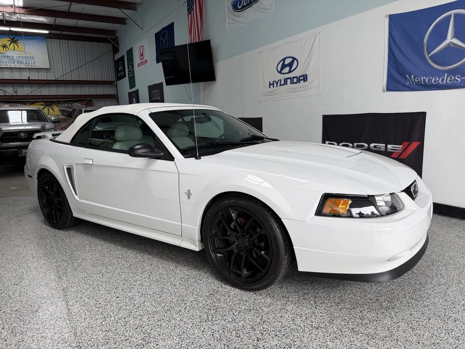 2003 Ford SN95 Mustang - Image 15 of 21