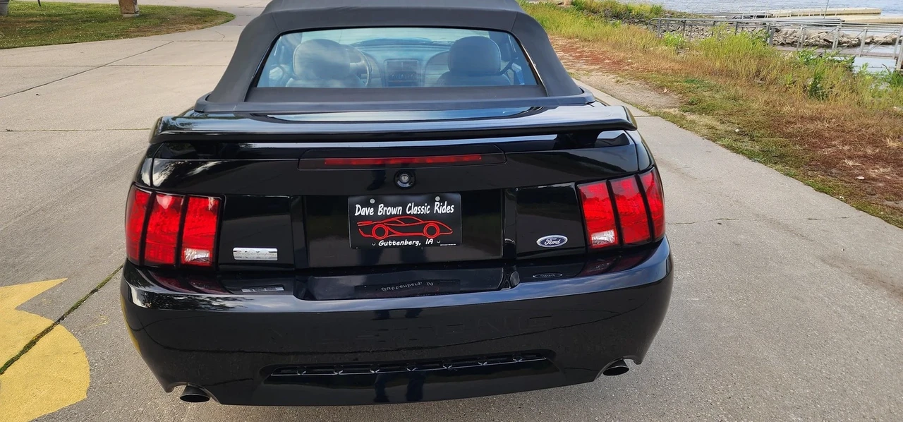 2003 Ford SN95 Mustang - Image 15 of 21