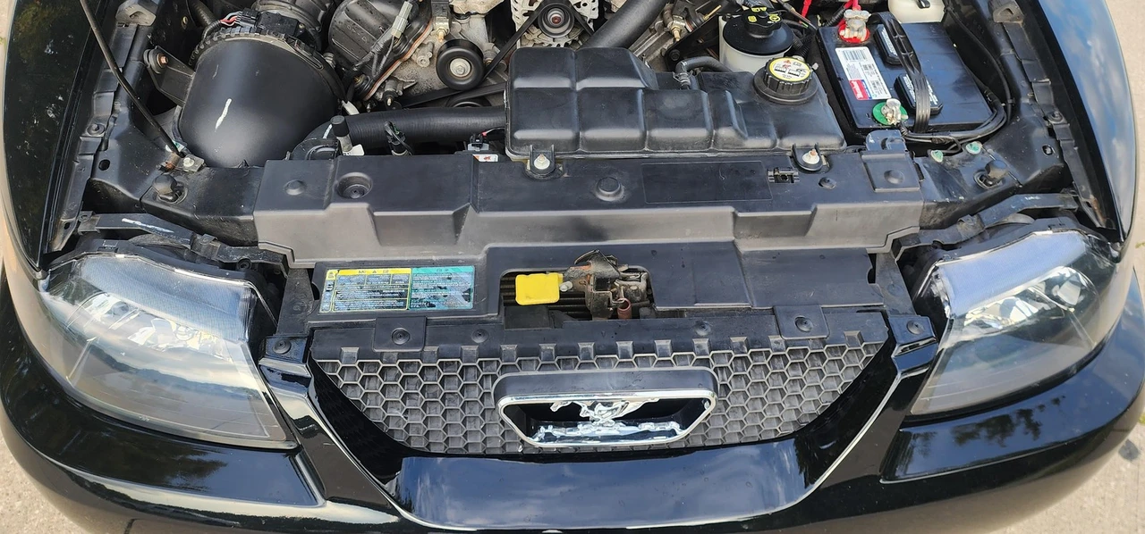 2003 Ford SN95 Mustang - Image 17 of 21