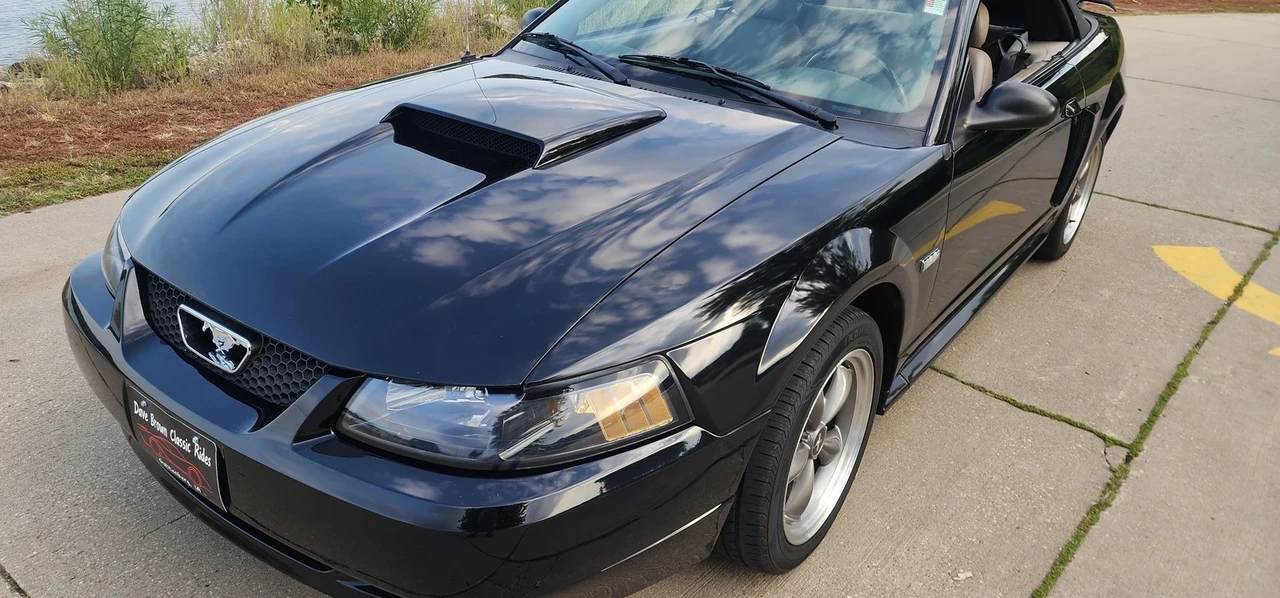 2003 Ford SN95 Mustang - Image 11 of 21