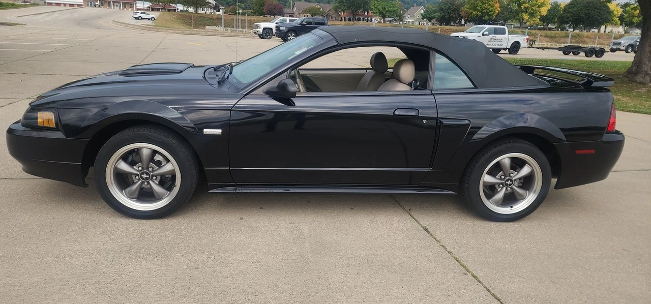 2003 Ford SN95 Mustang - Image 3 of 21